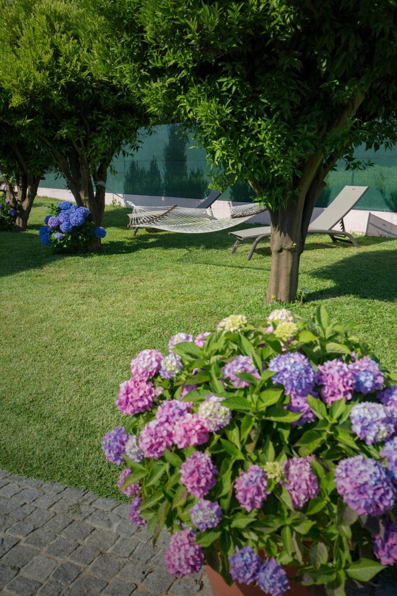 Suite Em Viana Do Castelo Exterior foto